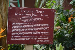 Macadamia Farm Sign