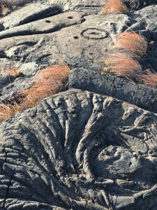 Petroglyph