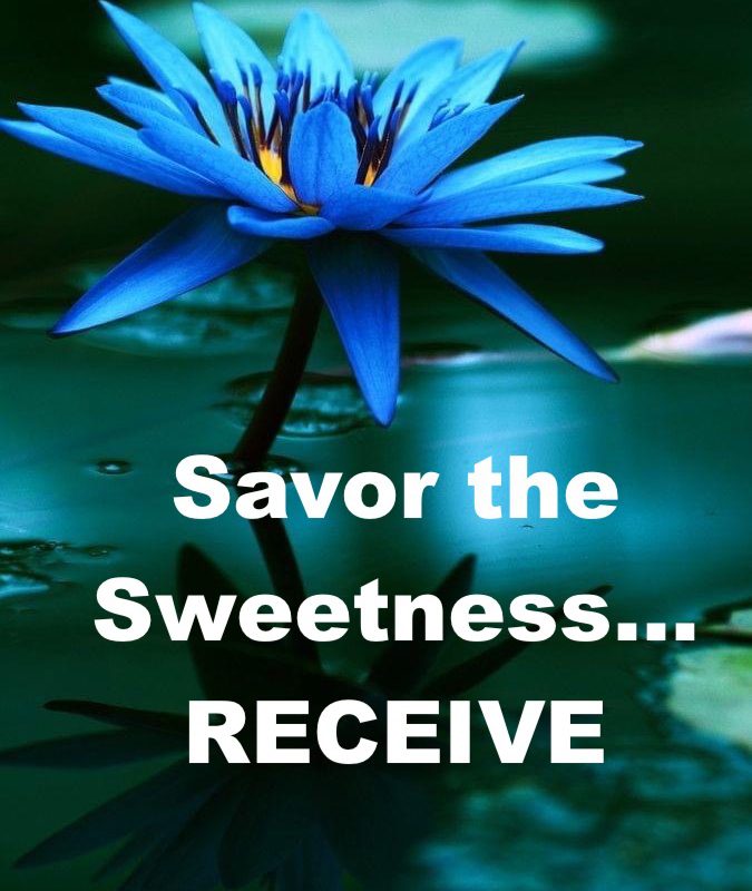 Savor The Sweetnessreceive The Light Gap